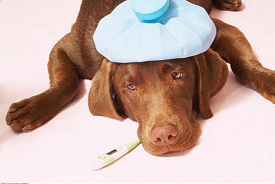 游戏主播看过来 《博德之门3》如何关闭18+内容